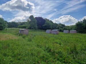 Rockwood Allotments