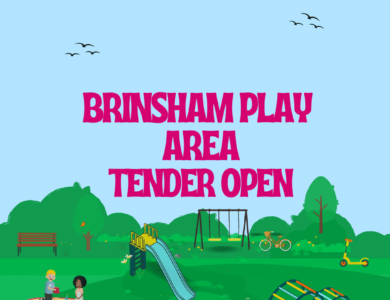 Image of Brinsham Play Area