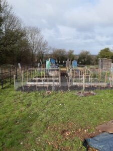 Community garden with raised beds and netting on a grassy plot. In the background, small sheds and bare trees under a cloudy sky convey a serene, rural setting.