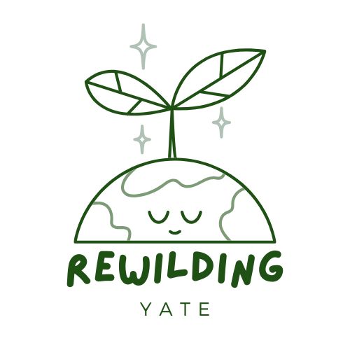 Logo - Rewilding Yate